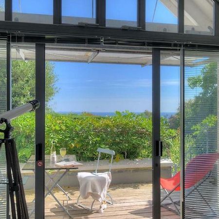 Little West Hill Studio Lyme Regis Dış mekan fotoğraf