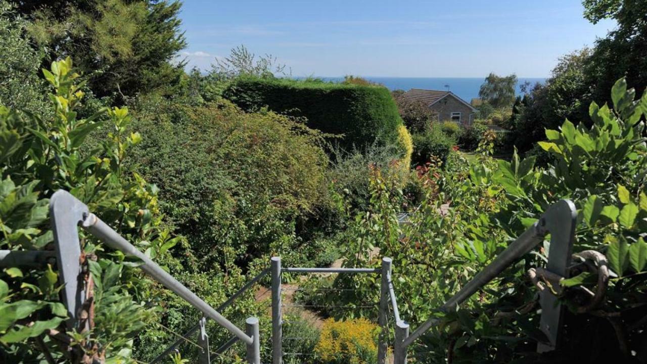 Little West Hill Studio Lyme Regis Dış mekan fotoğraf