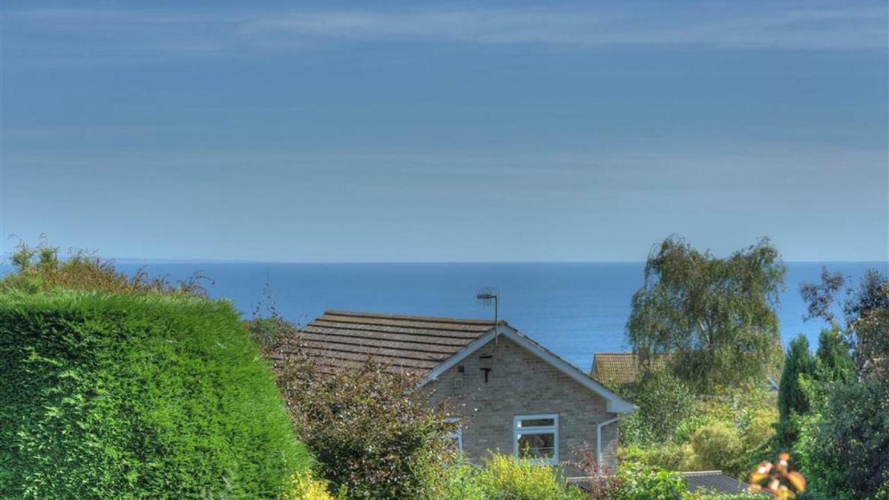 Little West Hill Studio Lyme Regis Dış mekan fotoğraf