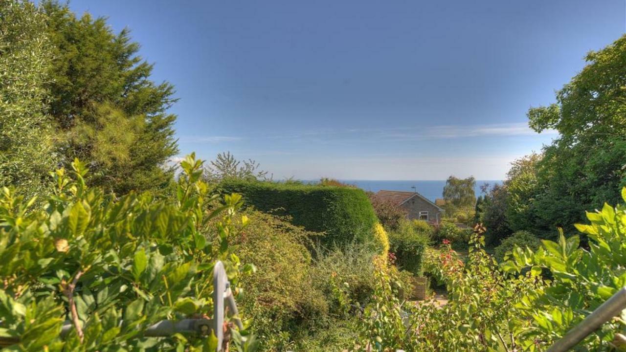 Little West Hill Studio Lyme Regis Dış mekan fotoğraf